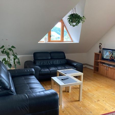 Apartman Pod Laznema Jesenik Exterior photo
